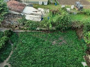 Jardín